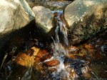 water-stream-230×172